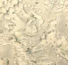 Load image into Gallery viewer, Hoffman Batik Fabric, By The Half Yard, 1895-587 February