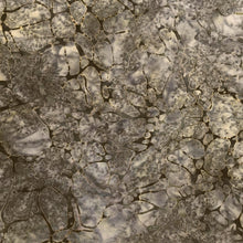 Load image into Gallery viewer, Robert Kaufman Batik Fabric, By The half Yard, AMD-22681-183 Pewter