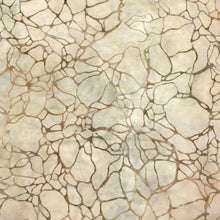 Load image into Gallery viewer, Robert Kaufman Batik Fabric, By The Half Yard, AMD-22681-376 Shell