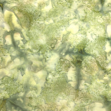 Load image into Gallery viewer, 1895-227 Sprout, Hoffman Batik Fabric, green, cotton batik fabric