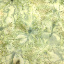 Load image into Gallery viewer, Hoffman Batik Fabric, By The Half Yard, 1895-227 Sprout