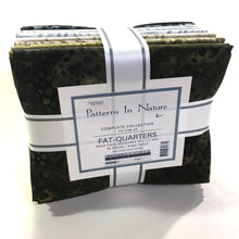 Load image into Gallery viewer, 20 Kaufman Batik Fat Quarters, FQ-2156-20,  Patterns In Nature