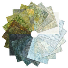 Load image into Gallery viewer, Kaufman Batik Roll Ups Jelly Roll, RU-1276-40, Patterns In Nature