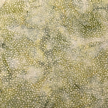 Load image into Gallery viewer, Hoffman Batik Fabric, By The Half Yard, 885-77 Sage