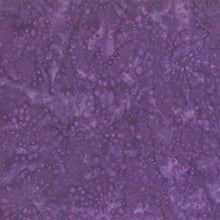 Load image into Gallery viewer, Wilmington Batiks Fabric, By The Half Yard, #22193-660