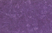 Load image into Gallery viewer, Wilmington Batiks Fabric, By The Half Yard, #22193-660