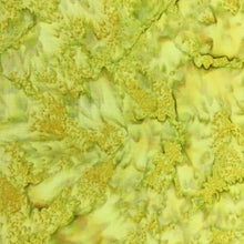 Load image into Gallery viewer, Kaufman Fabrics Prisma Dyes, Batik, By The Half Yard, AMD-7000-52 Pistachio