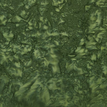 Load image into Gallery viewer, Kaufman Fabrics Prisma Dyes, Batik, By The Half Yard, AMD-7000-49 Olive