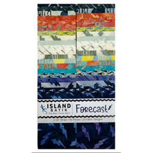 Load image into Gallery viewer, Island Batik Strip Pack, Forecast, Multicolored, 20 Fabrics and 40 Strips