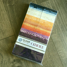 Load image into Gallery viewer, Island Batik Strip Pack, Citified, Multicolors, 20 Fabrics and 40 Strips