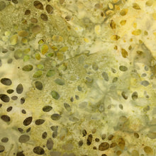 Load image into Gallery viewer, Robert Kaufman Batik Fabric, By The Half Yard, AMD-21126-294 Yarrow