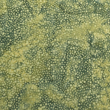 Load image into Gallery viewer, Island Batik Fabric, By The Half Yard, 122138675 Dots Grasshopper