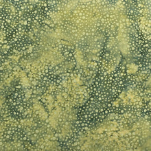 Load image into Gallery viewer, Island Batik Fabric, By The Half Yard, 122138675 Dots Grasshopper