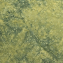 Load image into Gallery viewer, Island Batik Fabric, By The Half Yard, 122138675 Dots Grasshopper