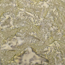 Load image into Gallery viewer, Kaufman Prisma Dyes Batik Fabric, By The Half Yard, AMD-7000-268 Nature