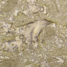 Load image into Gallery viewer, Kaufman Prisma Dyes Batik Fabric, By The Half Yard, AMD-7000-268 Nature