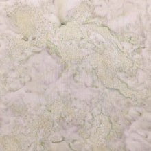 Load image into Gallery viewer, Kaufman Prisma Dyes Batik Fabric, By The Half Yard, AMD-7000-290 Ash