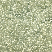 Load image into Gallery viewer, Island Batik Fabric, By The Half Yard, 112250725 Dots-Grey Silverado