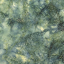 Load image into Gallery viewer, 885-549 Celestials, Hoffman Batik Fabric, green, cotton batik fabric