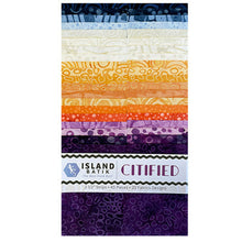 Load image into Gallery viewer, Island Batik Strip Pack, Citified, Multicolors, 20 Fabrics and 40 Strips