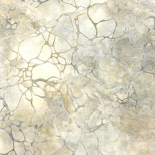 Load image into Gallery viewer, Robert Kaufman Batik Fabric, By The Half Yard, AMD-22681-344 Cobblestone

