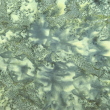 Load image into Gallery viewer, Hoffman Batik Fabric, By The Half Yard, 1895-247 Juneau
