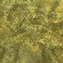 Load image into Gallery viewer, 885-319 Snake, Hoffman Batik Fabric, green multi, cotton batik fabric
