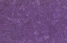 Load image into Gallery viewer, Wilmington Batiks Fabric, By The Half Yard, #22193-660
