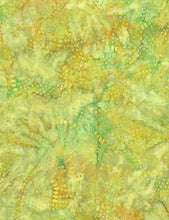Load image into Gallery viewer, Timeless Treasures Batik Fabric, By The Half Yard, Tonga-B6649 Moss
