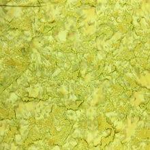 Load image into Gallery viewer, Kaufman Fabrics Prisma Dyes, Batik, By The Half Yard, AMD-7000-52 Pistachio
