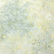 Load image into Gallery viewer, Wilmington Batiks Fabric, By The Half Yard, #22258-957

