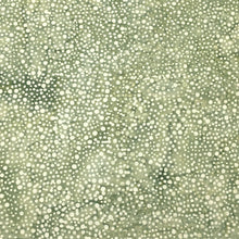 Load image into Gallery viewer, Island Batik Fabric, By The Half Yard, 112250725 Dots-Grey Silverado
