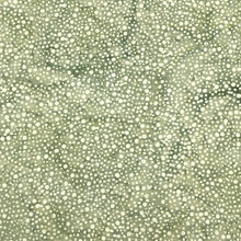 Load image into Gallery viewer, Island Batik Fabric, By The Half Yard, 112250725 Dots-Grey Silverado
