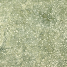 Load image into Gallery viewer, Island Batik Fabric, By The Half Yard, 112250725 Dots-Grey Silverado
