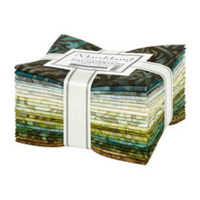 Load image into Gallery viewer, 22 Kaufman Artisan Batik Fat Quarters, Multicolored, FQ-1984-22, Marshland
