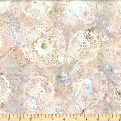 MR53-501 Sanddollar, Hoffman Jelly Fish Batiks by McKenna Ryan, cotton batic fabric