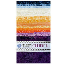 Load image into Gallery viewer, Island Batik Strip Pack, Citified, Multicolors, 20 Fabrics and 40 Strips

